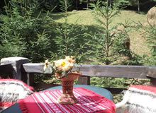 balcon camera 4